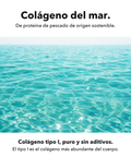 Colágeno Marino: Colágeno del mar