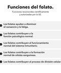 Inositol + 5-MTHF Liposomal: Funciones del folato