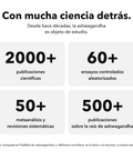 Ashwagandha Liposomal (Cápsulas): Con mucha ciencia detrás