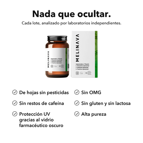 L‑Teanina Liposomal: Nada que ocultar