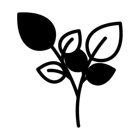 Extractos vegetales 